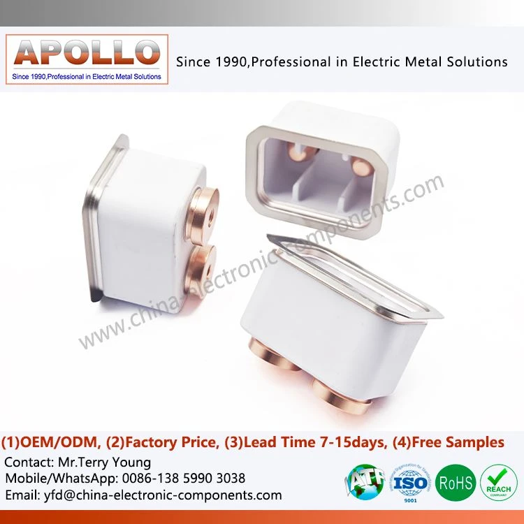 Al2O3 Alumina Ceramic Vacuum Relay Casing Al2O3 Alumina Ceramic Vacuum Relay Casing
